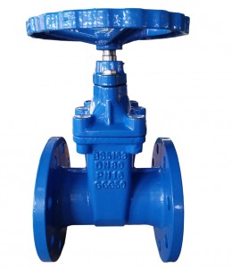 Factory wholesale En10255 S195t Erw Hot Dipped Galvanized Round Steel Pipe - Flange Resilient Seated Gate Valve – Youfa